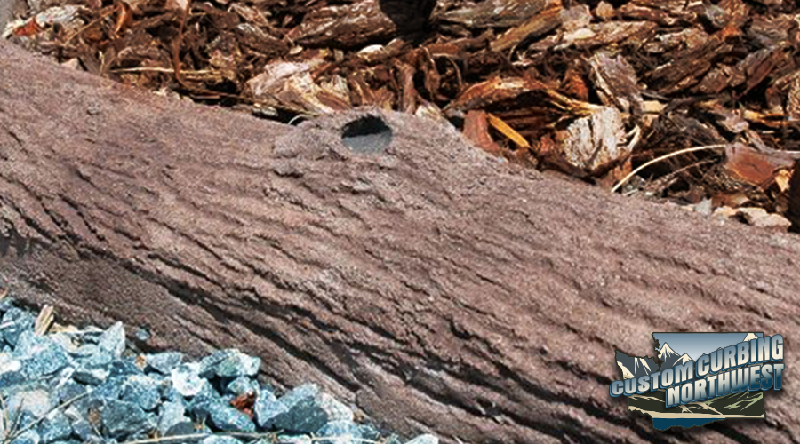Bark Texture