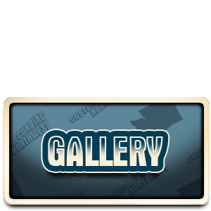 Gallery Button