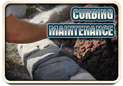 Curbing Maintenance