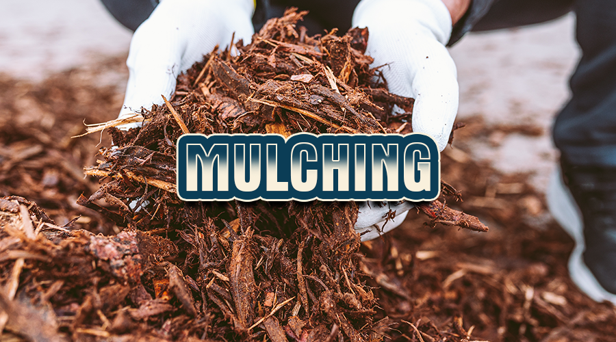 Mulching