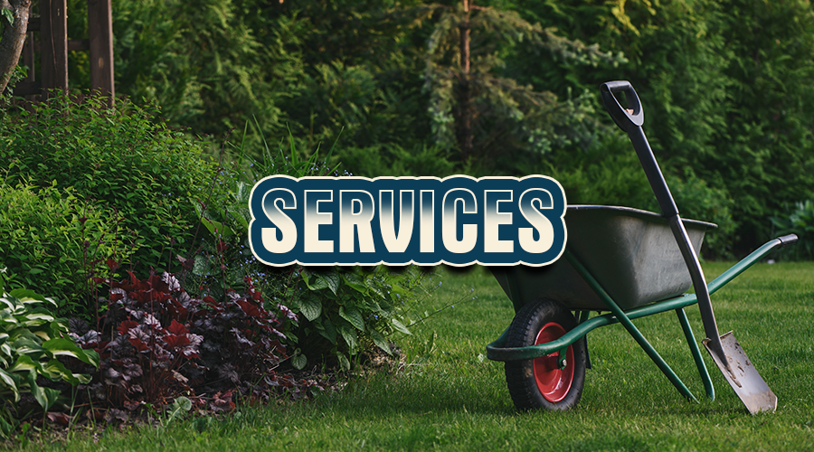 Services