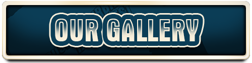 Our Gallery